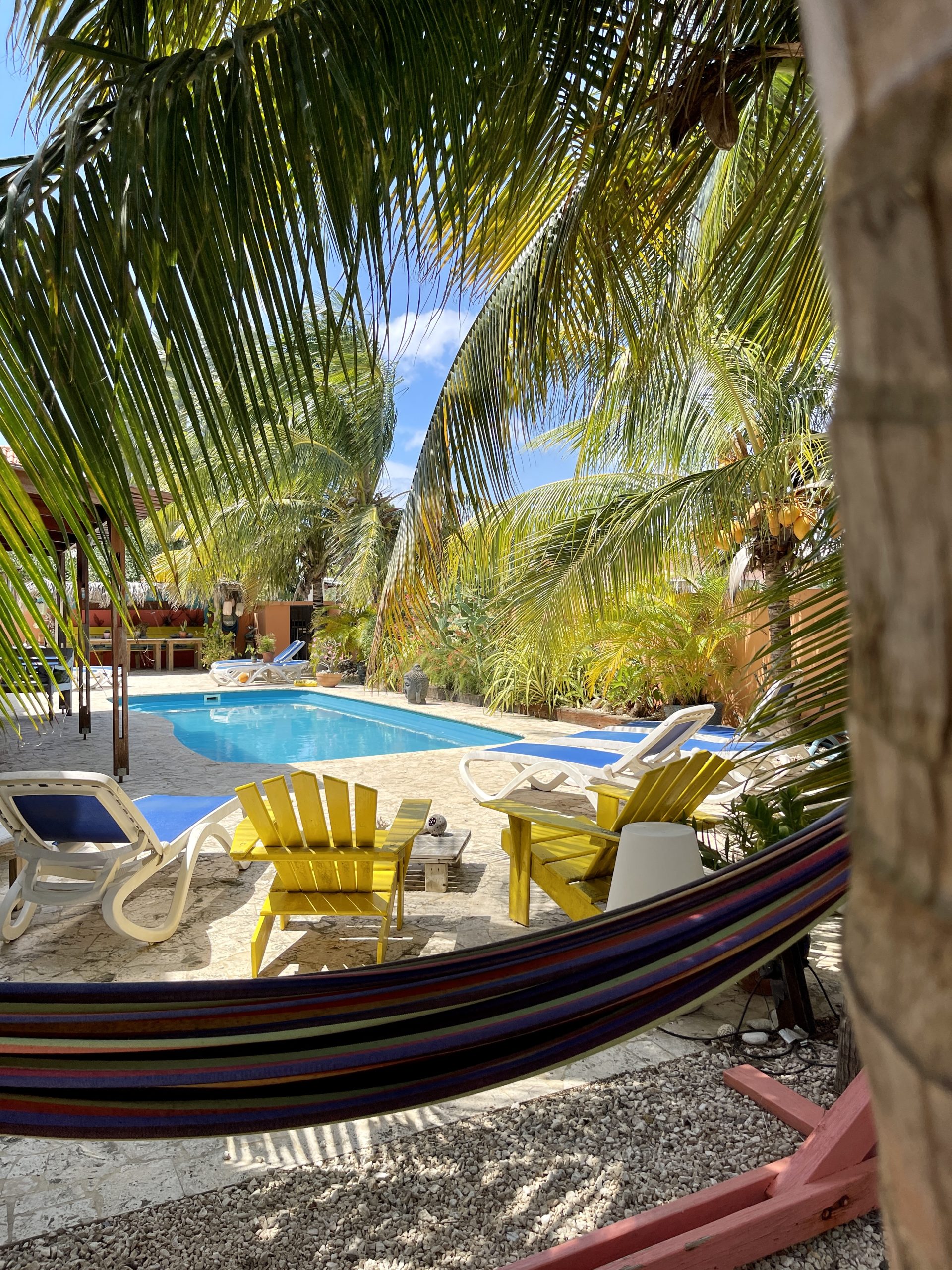 Scuba diving, 1000 steps Bonaire