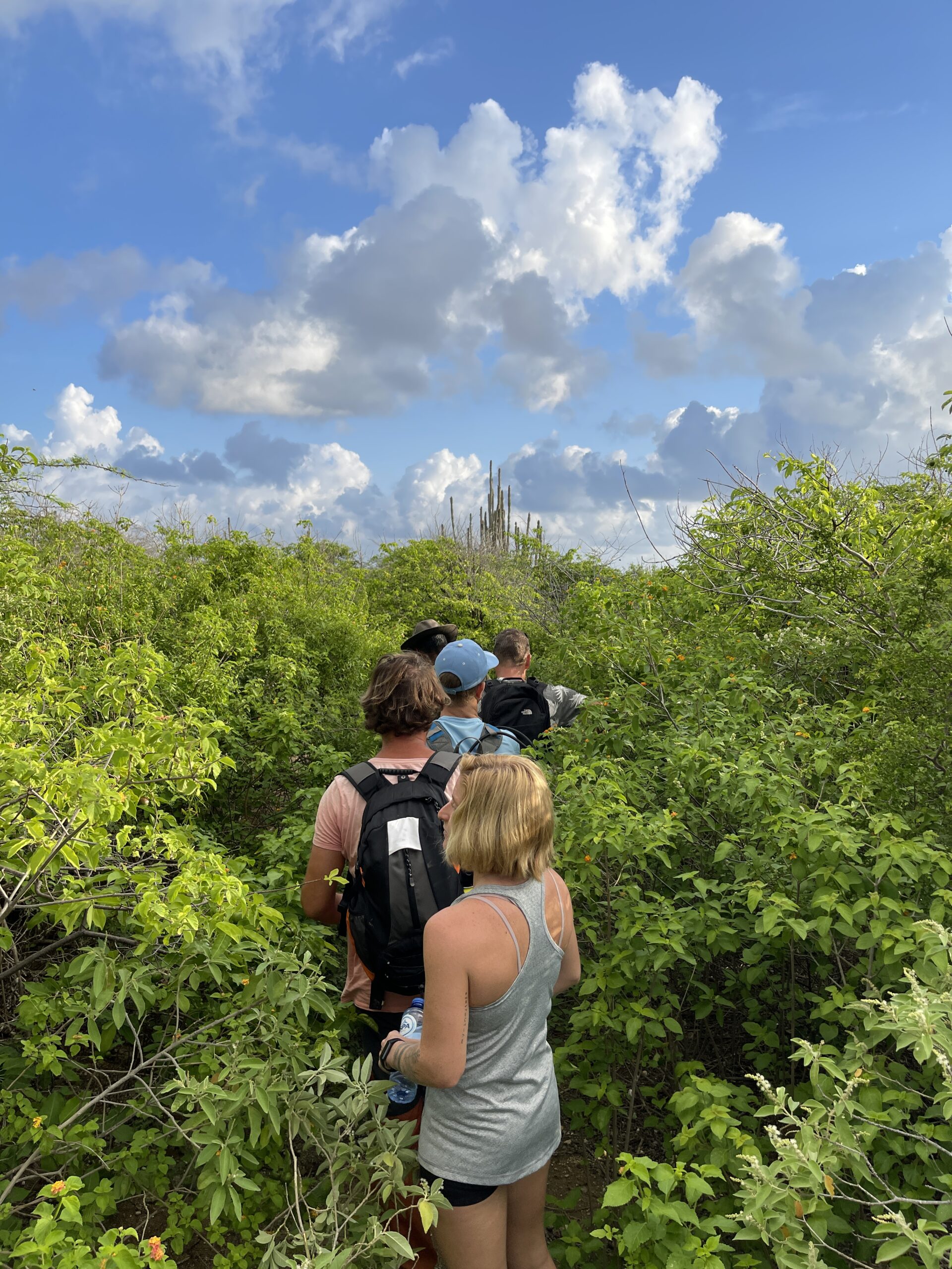Hiking trail Bonaire National Park