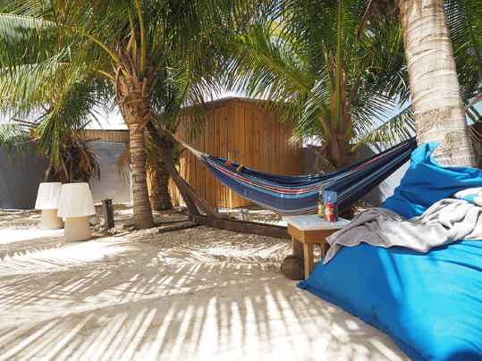 Tropical Garden - Oasis Guesthouse Bonaire