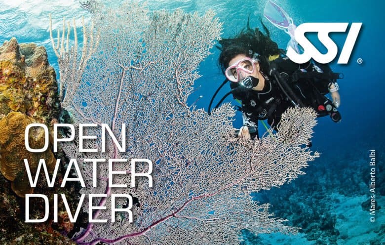 Open Water Diver course at SSI Dive Center Bonaire